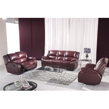 Living Room Genuine Leather Sofa (805)